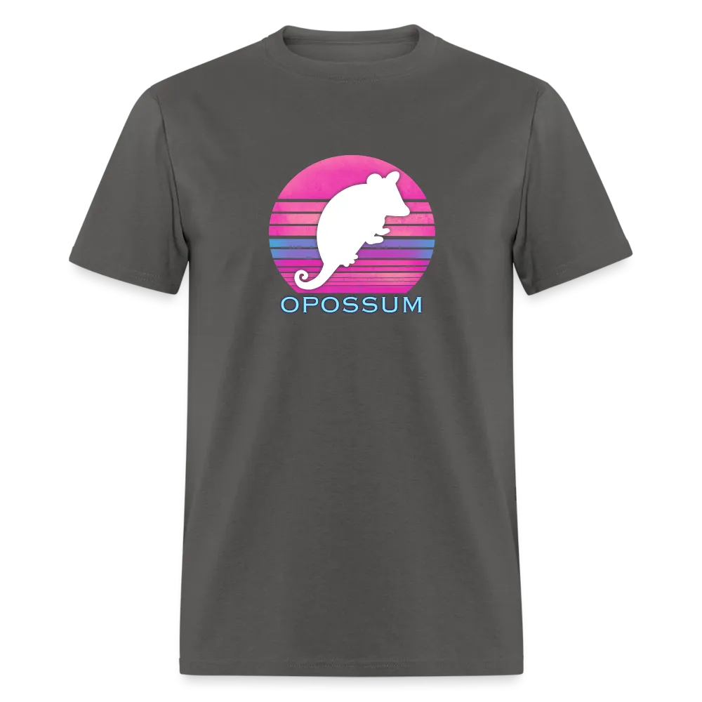 Retropossum Beach Sunset