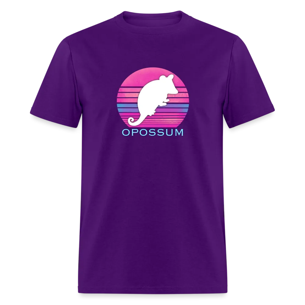 Retropossum Beach Sunset