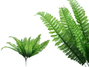 Small Artificial Boston Fern Bush