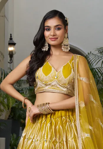 Yellow Butterfly Net Lehenga with White Embroidery